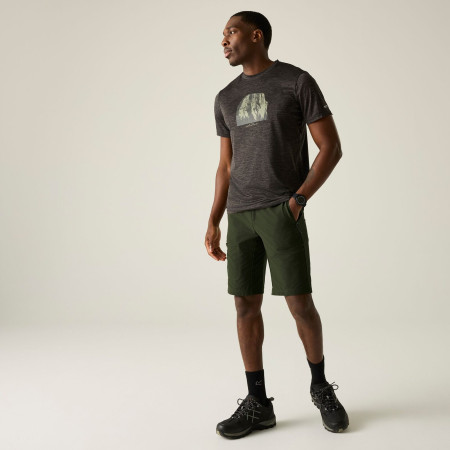 Pantalones cortos de hombre Regatta Highton Shorts Long II