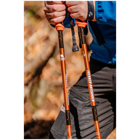 Bastones de senderismo Zulu Trekker Antishock