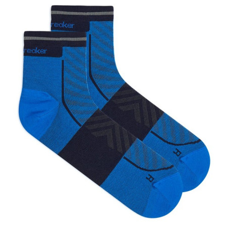 Calcetines de hombre Icebreaker Men Merino Run+ Ultralight Mini
