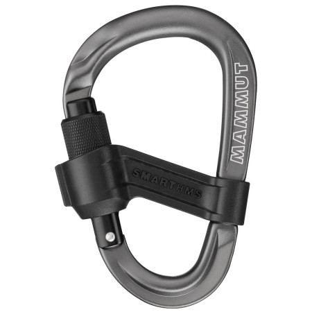 Juego de asegurar Mammut Smart 2.0 Belay Package azul claro alpine calamint