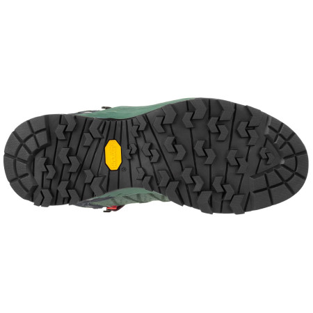 Calzado de mujer Salewa Ws Alp Trainer 2 Mid Gtx