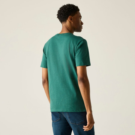Camiseta de hombre Regatta Rendro