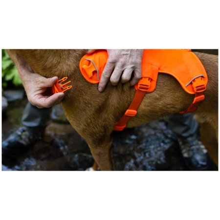 Arnés para perro Ruffwear Web Master™ Harness