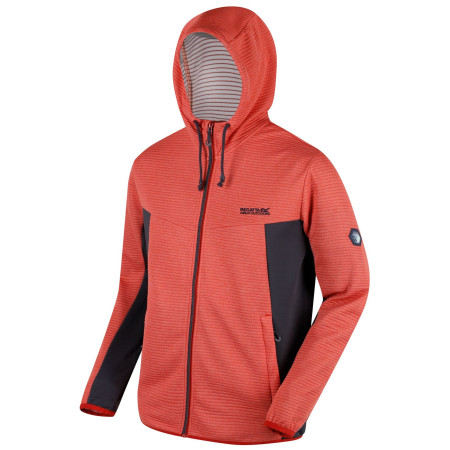 Sudadera de hombre Regatta Tarnis rosa Burnt Tikka Seal Grey