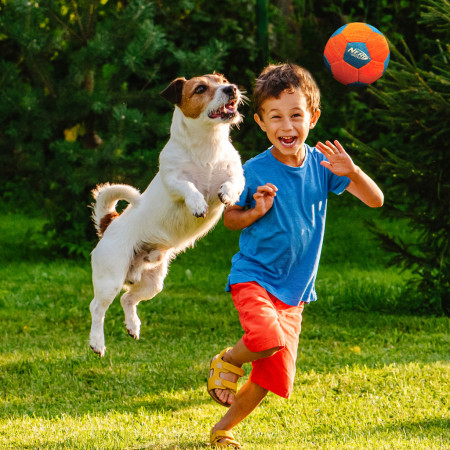 Juguete para perro Nerf Dog X-Weave Soccer Squeak Ball 12,5 cm