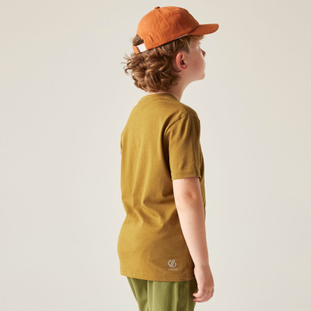 Camiseta para niños Dare 2b Trailbazer III Tee Dark Cumin