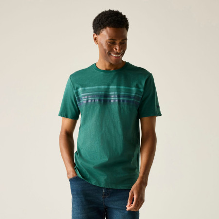 Camiseta de hombre Regatta Rendro