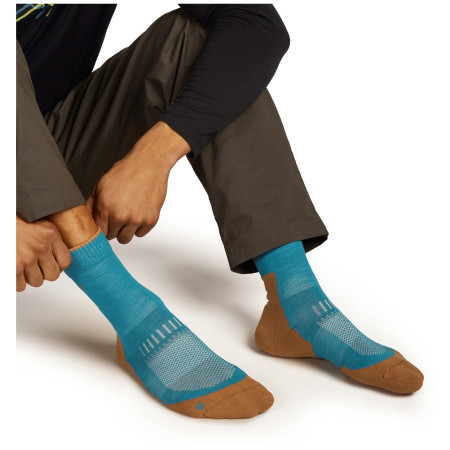 Calcetines de hombre Icebreaker M Mer Hike+ Light Crew