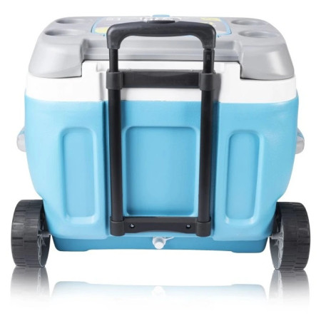 Caja de refrigeración Pinnacle Prudence 66L