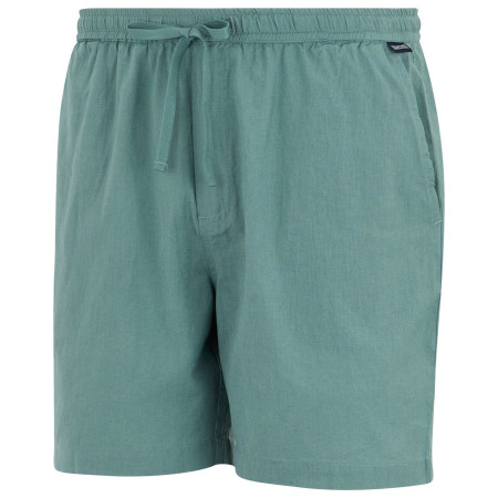 Pantalones cortos de hombre Regatta Hadlin Shorts