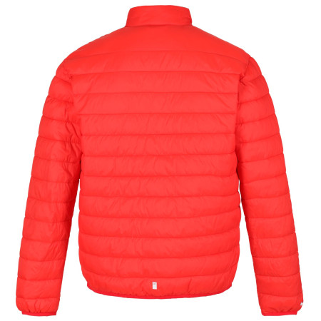 Chaqueta de hombre Regatta Hillpack