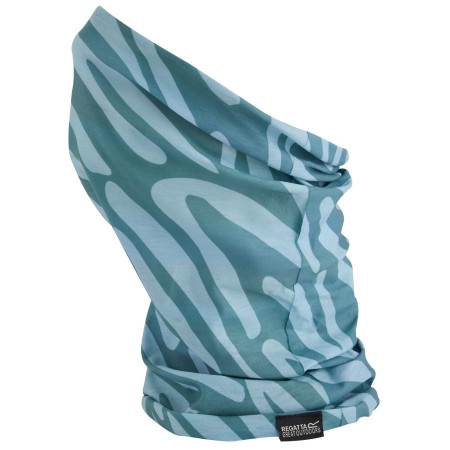 Cuello multiuso para niños Regatta Kids Printed Multitube II verde Sprgrn/GrHzA