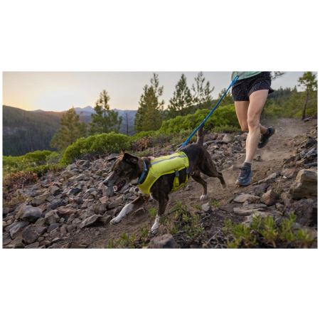 Correa con amortiguador Ruffwear Trail Runner™ Leash