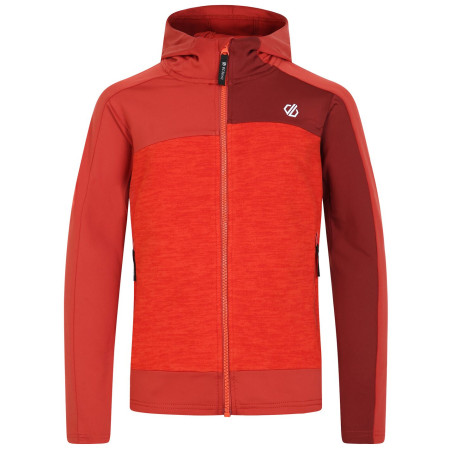 Sudadera para niños Dare 2b Thriving II Core St