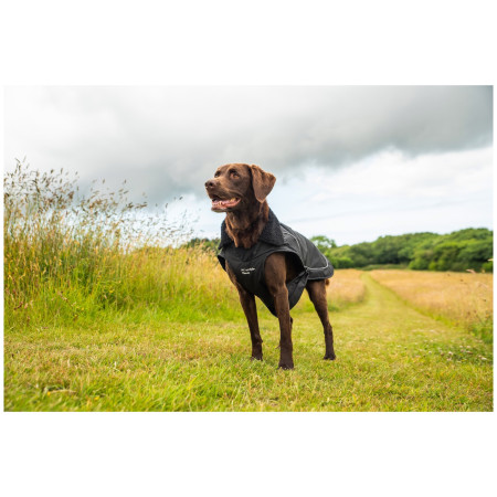 Impermeable para perro Mountain Paws Fleece-Lined Dog Raincoat