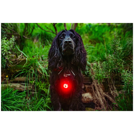 Luz para perro Mountain Paws Dog safety light 2-Pack