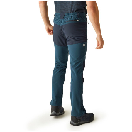 Pantalones de hombre Regatta Questra V