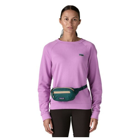 Riñonera Patagonia Terravia Mini Hip Pack