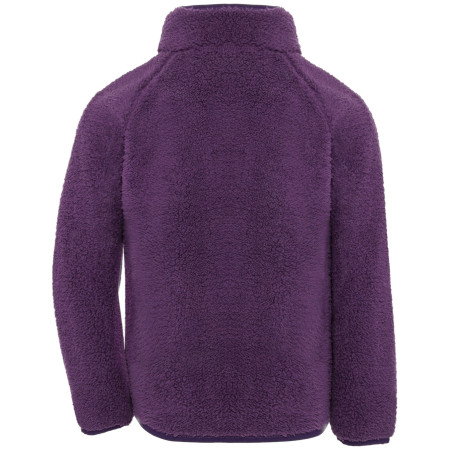Sudadera para niños Didriksons Gibbs Kids Fullzip 2 Northen Purple