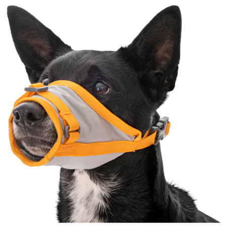 Arnés para perro Ruffwear BackTrak™ Dog Evacuation Kit