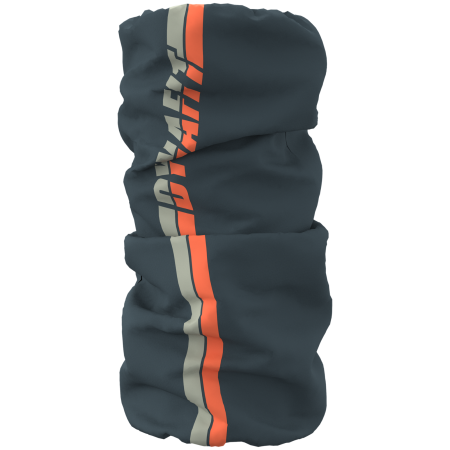 Cuello Dynafit Graphic Neck Gaiter