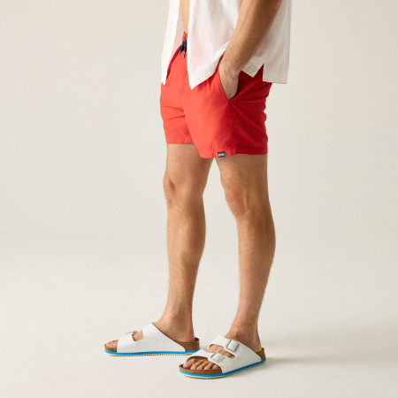 Bañador de hombre Regatta Mawson Swim Shorts III