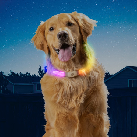 Collar luminoso para perro Nite Ize NiteHowl Max LED