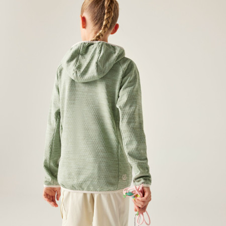 Chaqueta para niños Dare 2b Expedition Midlayer GlacierGreen