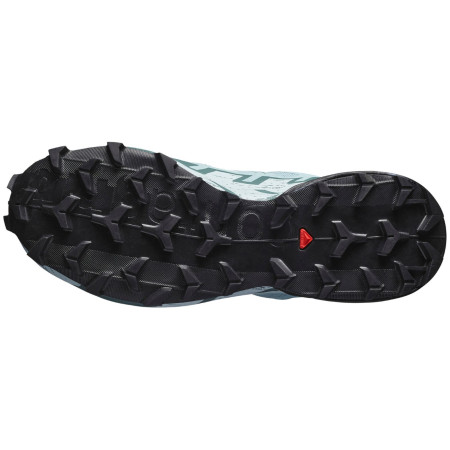 Calzado de mujer Salomon Speedcross 6 Gore-Tex