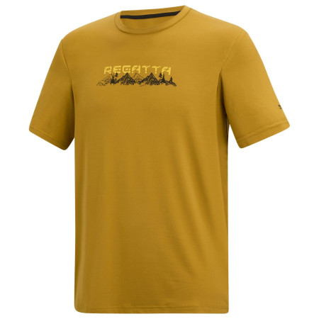 Camiseta de hombre Regatta Fingal Stretch