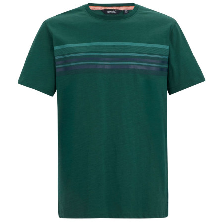Camiseta de hombre Regatta Rendro verde Mediterranea