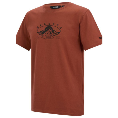 Camiseta de hombre Regatta Cline IX