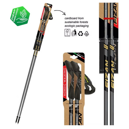 Bastones de caminata nórdica Fizan NW Runner