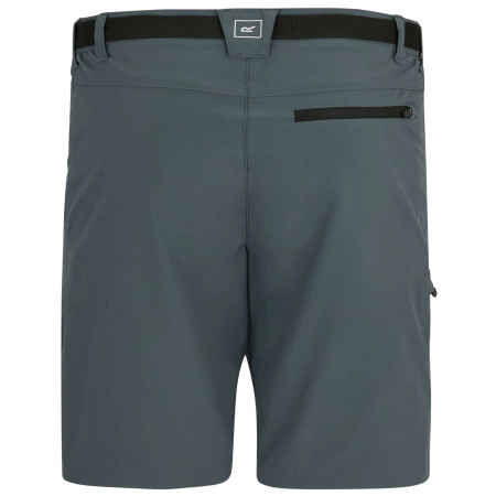 Pantalones cortos de hombre Regatta Xert Stretch Shorts