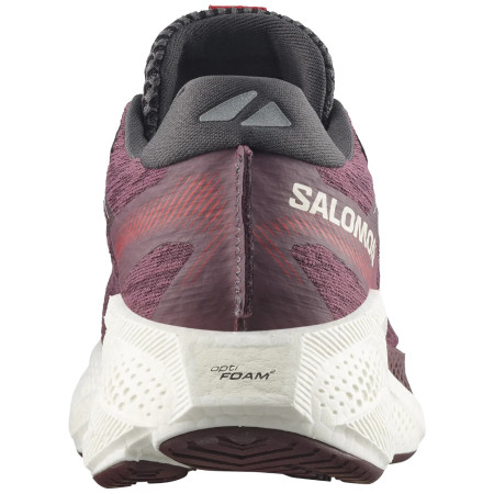 Zapatillas de carrera para mujer Salomon Aero Glide 4