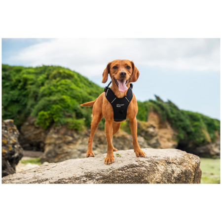 Arnés para perro Mountain Paws Dog Harness