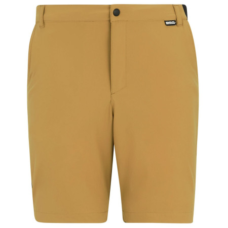 Pantalones cortos de hombre Regatta Anti-Insect Travel Light Shorts marrón Wood Brown