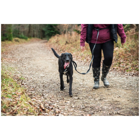 Correa con amortiguador Mountain Paws Shock Absorber Dog Lead