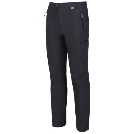 Pantalones de hombre Regatta Highton Trs Long