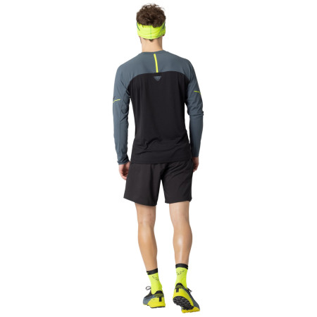Camiseta funcional de hombre Dynafit Alpine Pro M L/S Tee