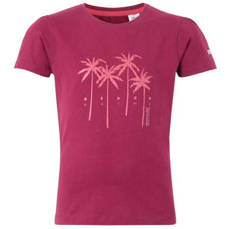 Camiseta para niños Regatta Bosley VIII rojo Beaujolais