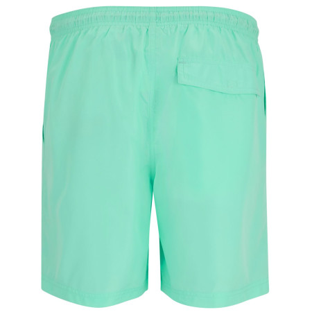 Pantalones cortos de hombre Regatta Mackleyna Swim Short