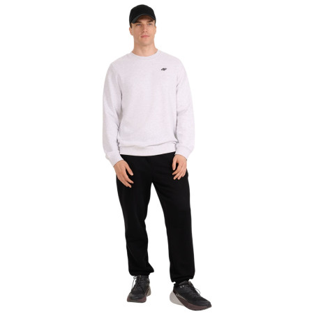 Sudadera de hombre 4F Sweatshirt M1767
