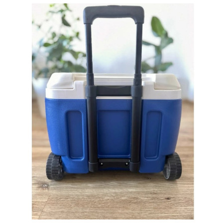 Caja de refrigeración Pinnacle Prudence 30L