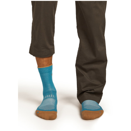 Calcetines de hombre Icebreaker M Mer Hike+ Light Crew