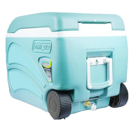 Caja de refrigeración Pinnacle Proxon 45L