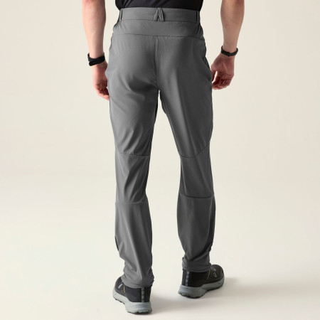 Pantalones de hombre Dare 2b Torrek Lite Trouser