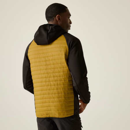 Chaqueta de hombre Regatta Andreson Hybrid