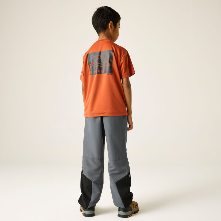 Pantalones para niños Regatta Sorcer Mountain Trousers VII Dark Storm