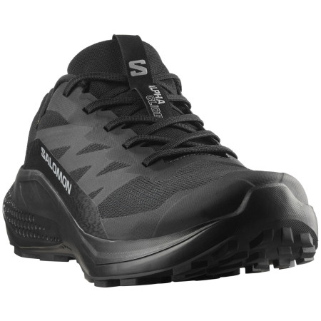Calzado de hombre Salomon Alphaglide Gore-Tex